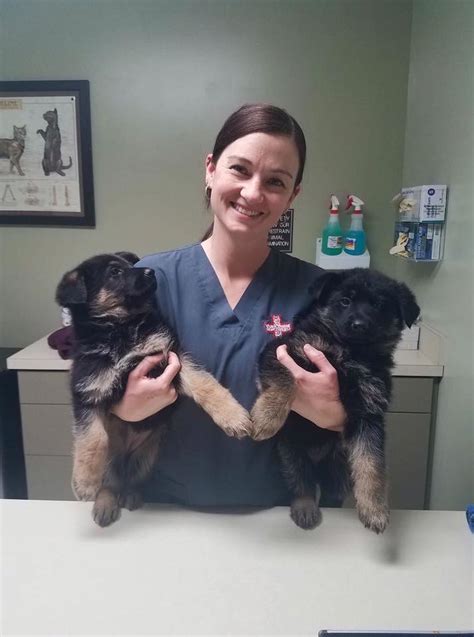 NINNESCAH VETERINARY SERVICE .